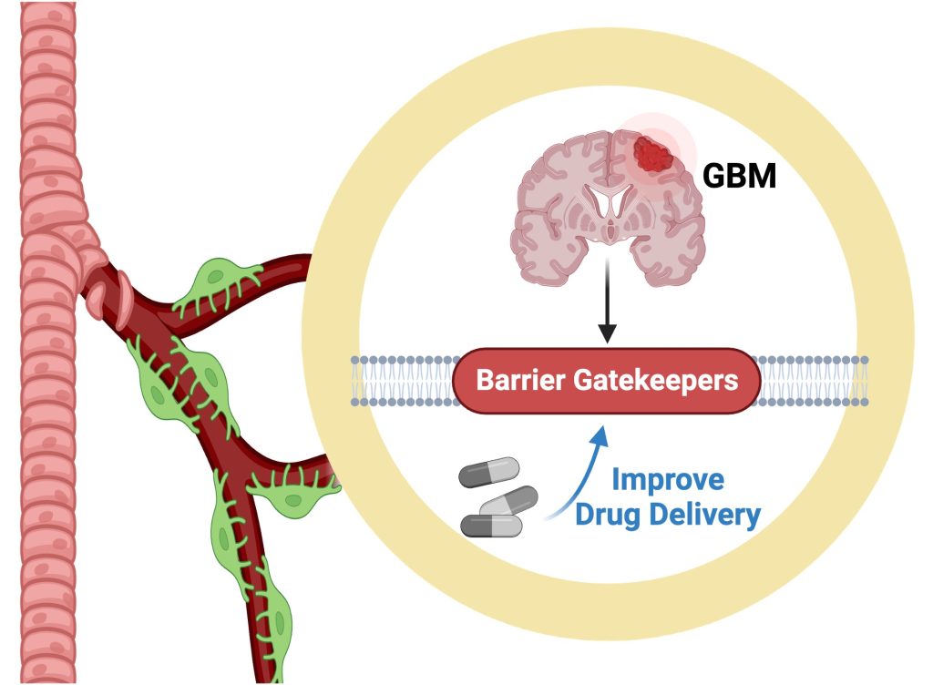 Barrier Gatekeepers diagram